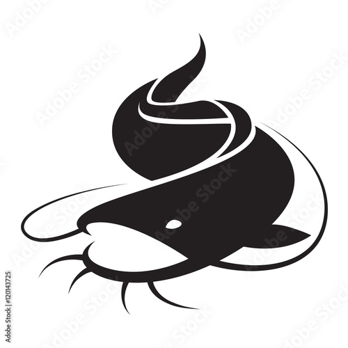 graphic catfish,vector