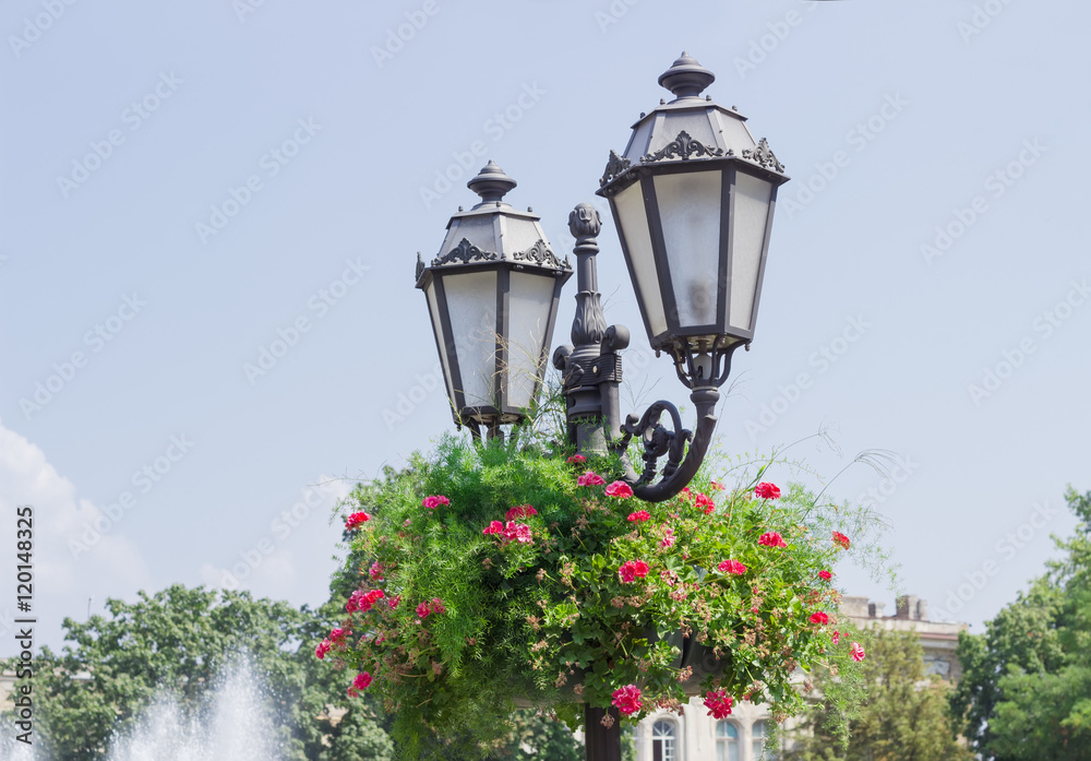 Street lamp with flowers in flowerpot on a city street