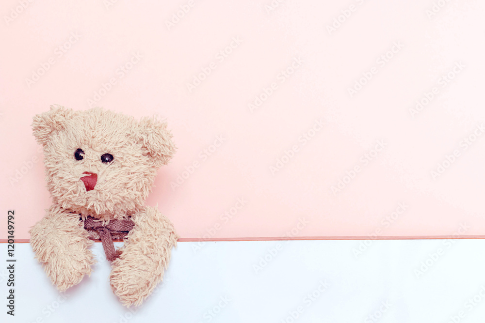Fototapeta premium teddy bear
