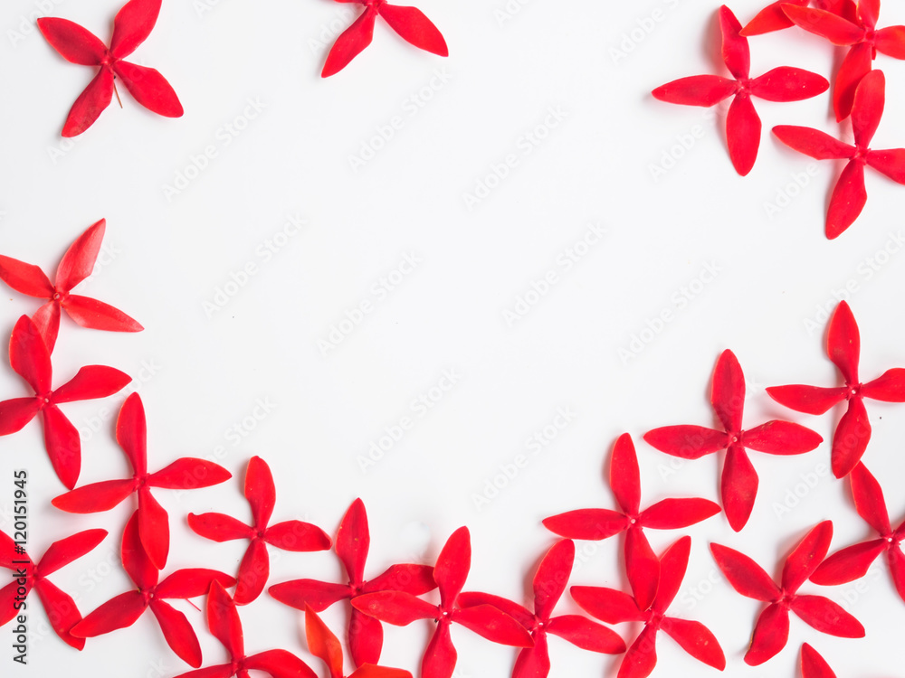 floral border background with red blossom floral border background with red blossom