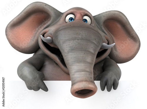 Photography Fun elephant - 3D Illustration