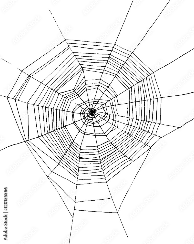 Obraz premium hand drawn spiderweb