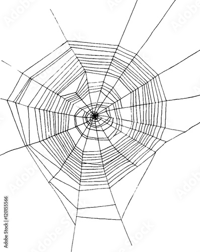 hand drawn spiderweb