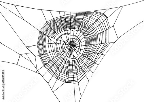 Fotografie, Obraz hand drawn spiderweb
