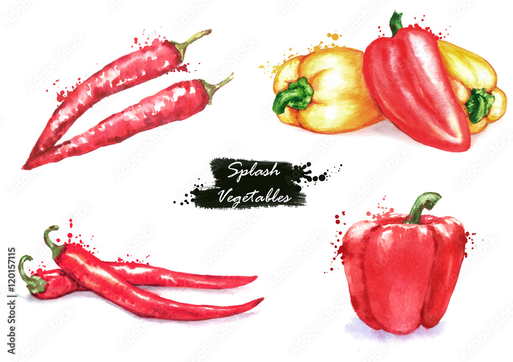 Handdrawn watercolor illustration of the different peppers chili pepper and sweet red and