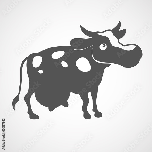 cow black flat