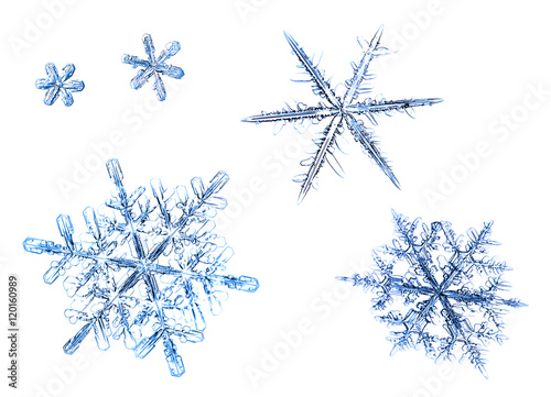 set of natural snowflakes isolated on a white background