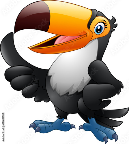 Cartoon funny toucan giving thumb up isolated on white background