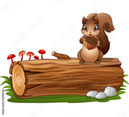 Cartoon squirrel standing while holding acorn