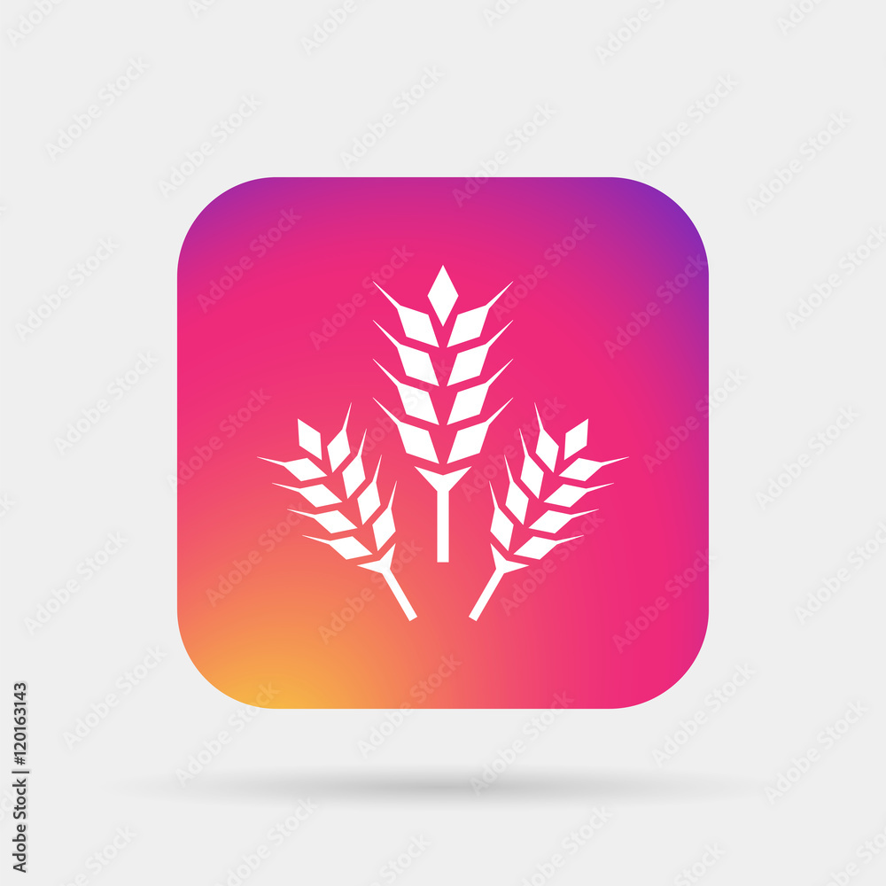 icon wheat icon wheat