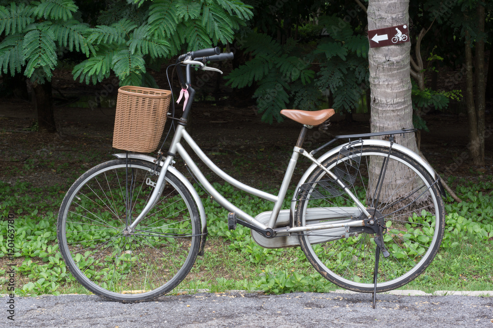 Fototapeta premium bicycle in the park