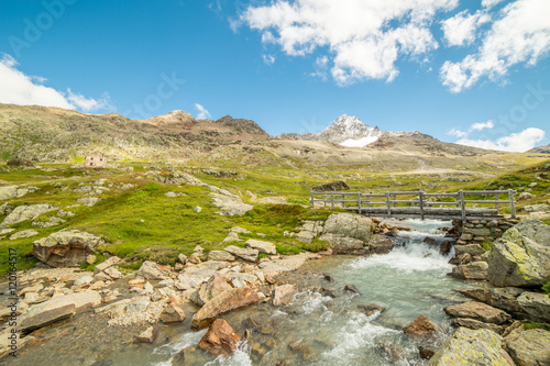 Fototapeta Naklejka Na Ścianę i Meble -  torrente in alta montagna