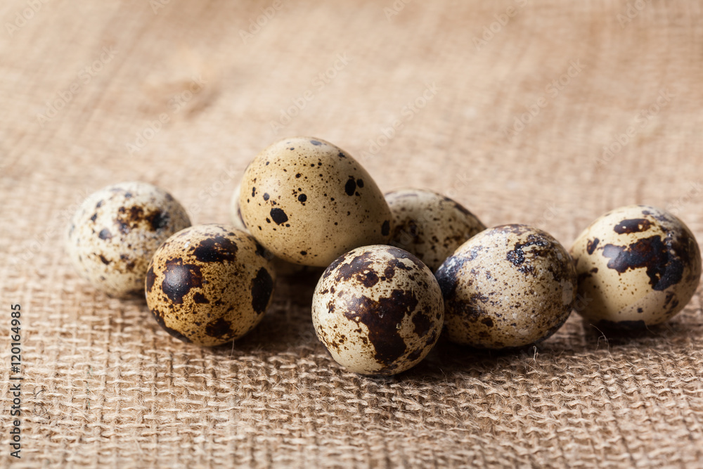 Quail eggs on sackcloth