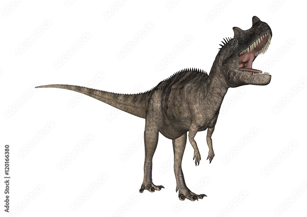 3D Rendering Dinosaur Ceratosaurus on White 3D Rendering Dinosaur Ceratosaurus on White