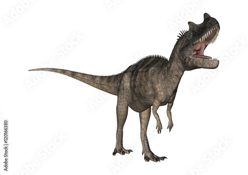 3D Rendering Dinosaur Ceratosaurus on White