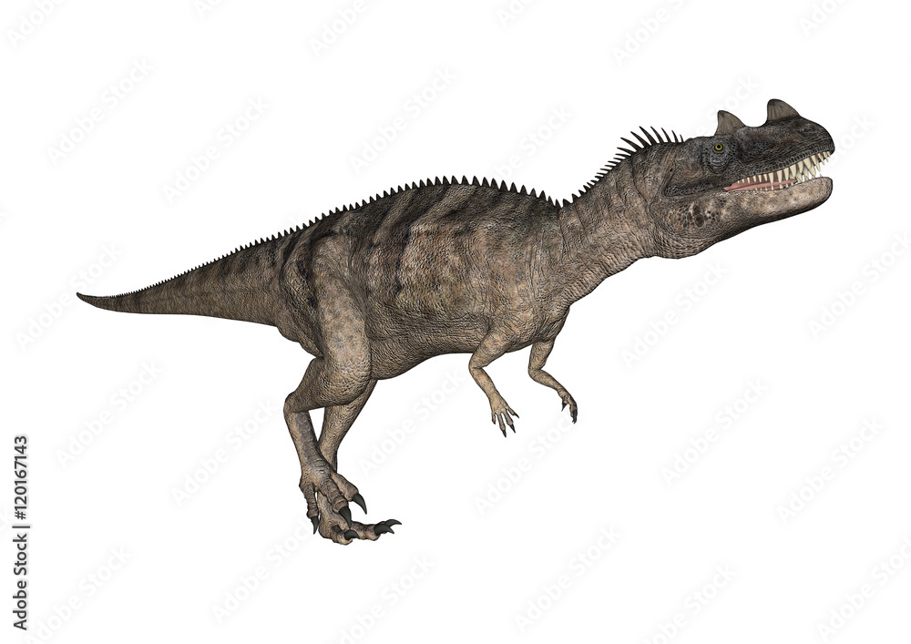 3D Rendering Dinosaur Ceratosaurus on White 3D Rendering Dinosaur Ceratosaurus on White