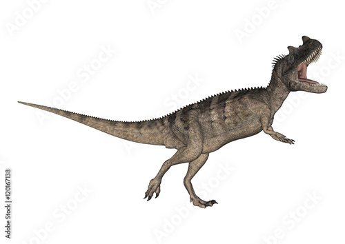 3D Rendering Dinosaur Ceratosaurus on White