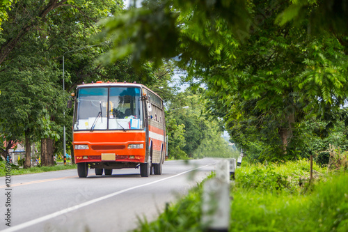 Big red old bus on rural street with the green forest