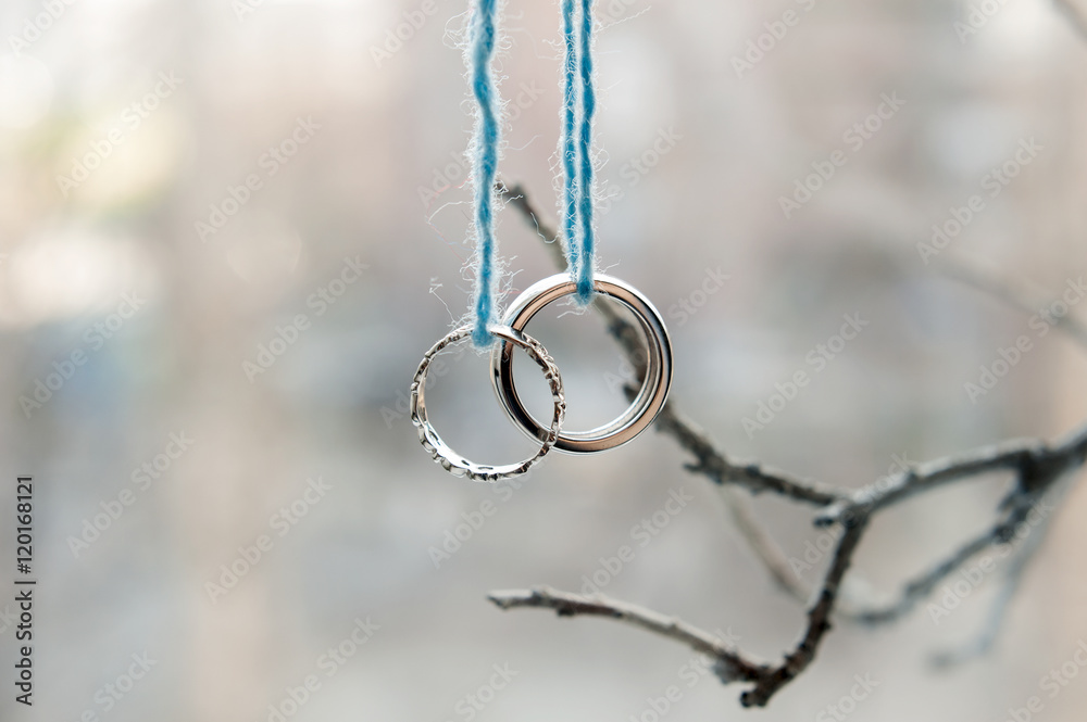 Fototapeta premium Two wedding rings of white gold on a branch