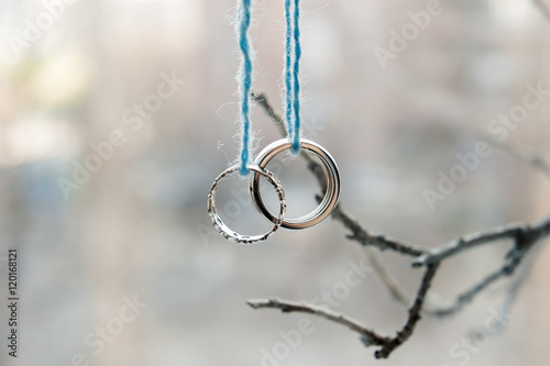 Two wedding rings of white gold on a branch © Olga Sidel'nikova