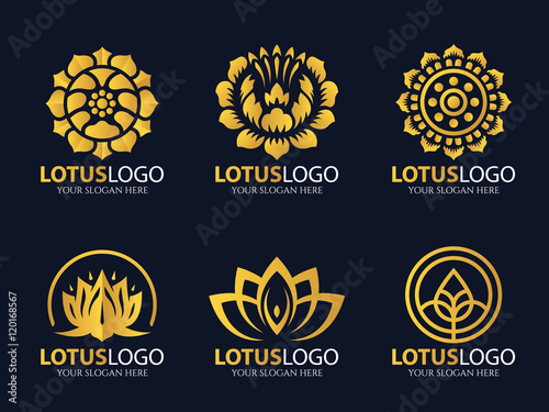 Gold Lotus logo vector art set design