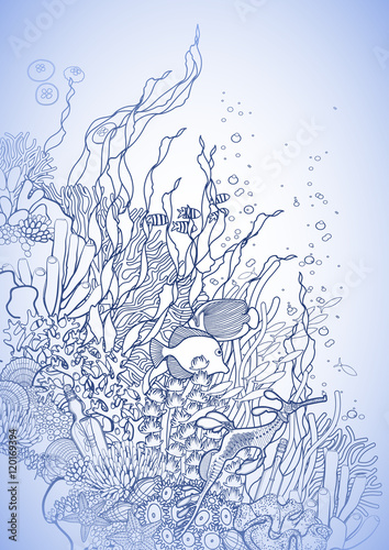 Coral reef design
