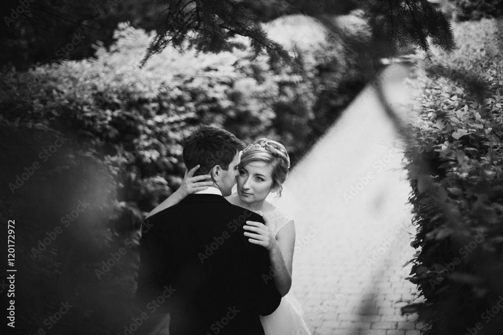 Obraz premium Lovely married couple hugs