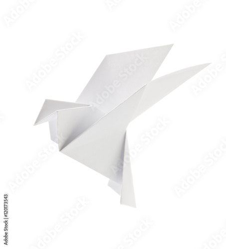 White pigeon of origami photo