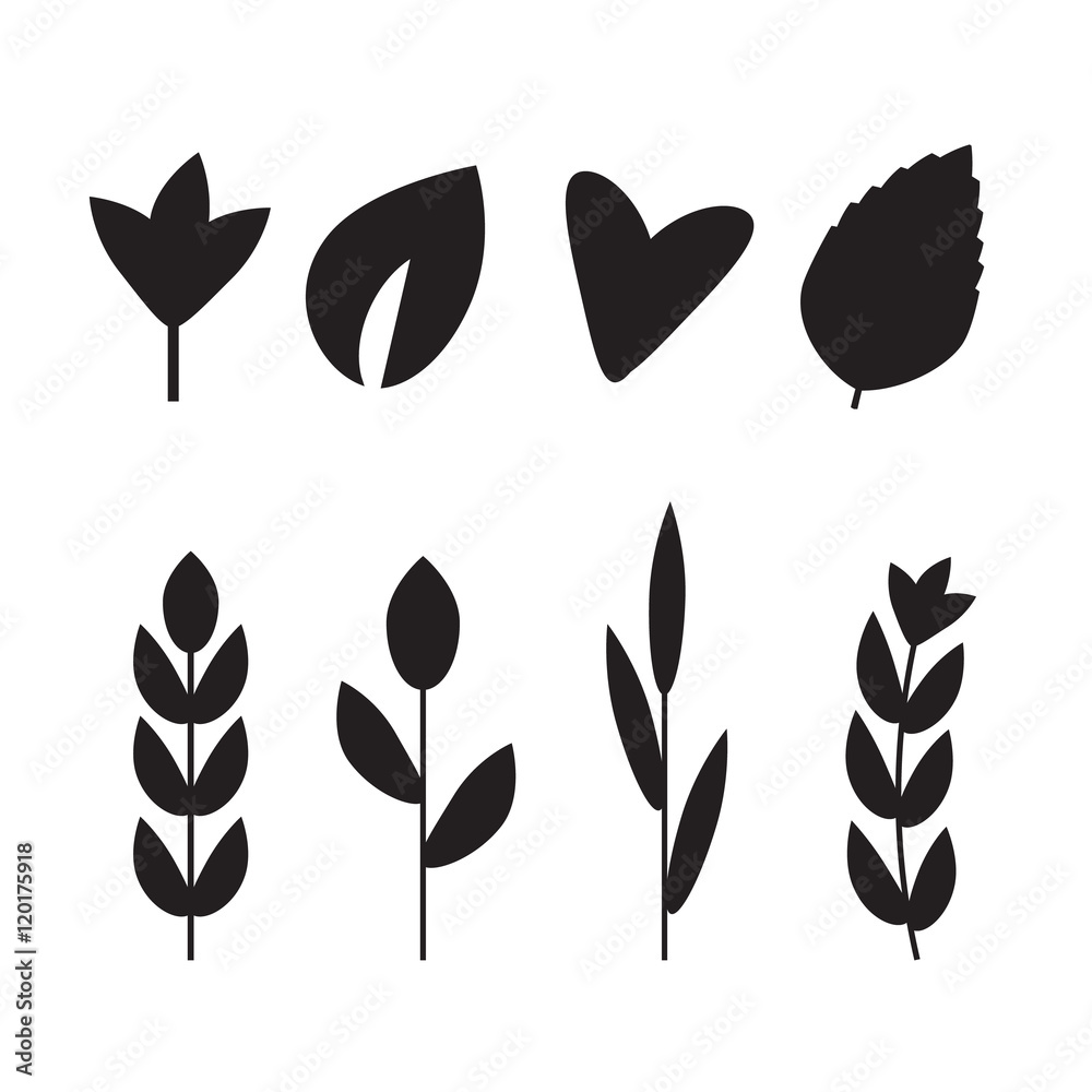 Green leaves vector icons. Nature ECO organic