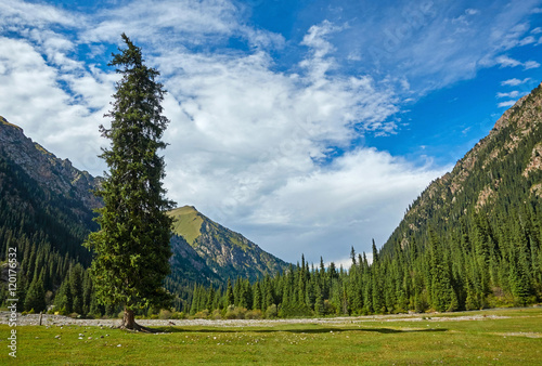 Tian Shan mountains. Kyrgyzstan, Central Asia