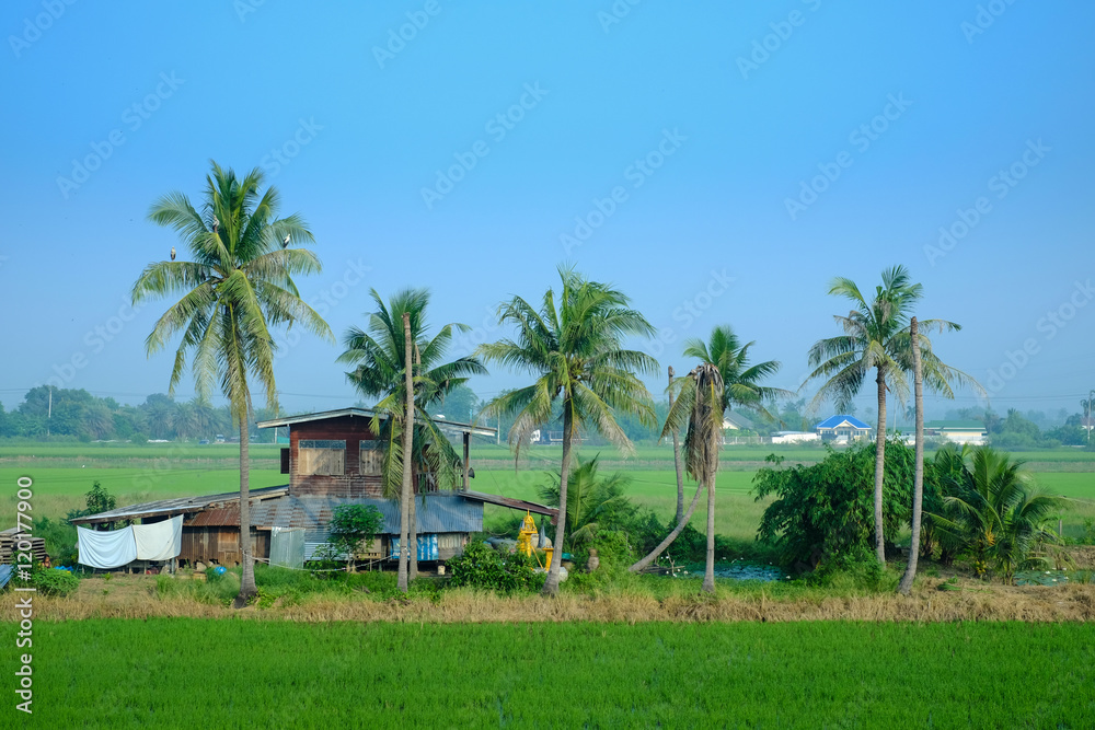 Traditional house in the rice field in Thailand