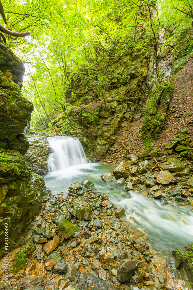 Fototapeta premium 山奥の滝