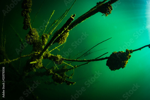 At the bottom of the river