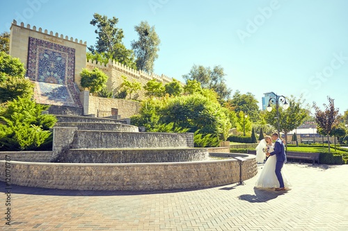 Newlyweds posing in the park against the backdrop of beautiful architecture. The bride and groom dancing in the park.