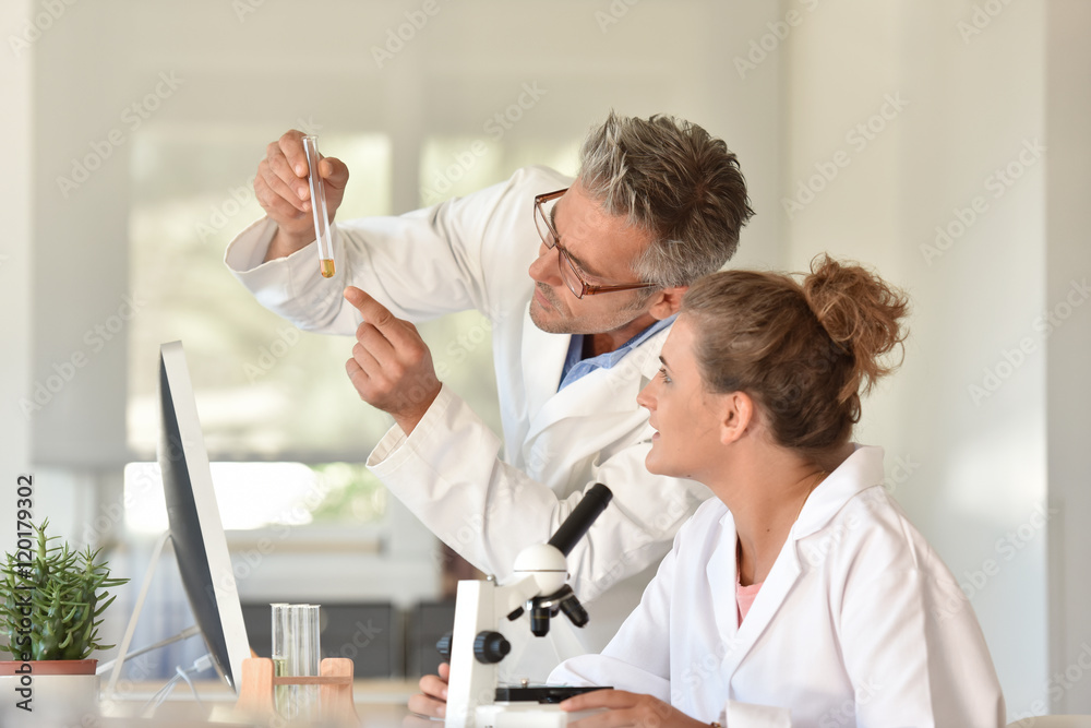 Fototapeta premium Student and teacher in biology training course