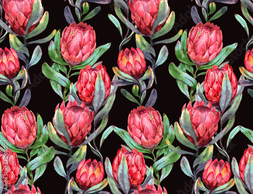 Hand-drawn watercolor seamless tropical pattern with red protea flowers on the black dark background. Colorful exotic summer print with floral elements for the textile and wallpapers.