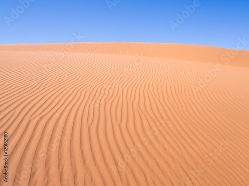 Sand dune on the Namib Desert  Namibia.