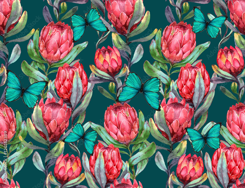 Hand-drawn watercolor seamless tropical pattern with red protea flowers and blue butterflies. Colorful exotic summer print with floral elements for the textile and wallpapers Hand-drawn watercolor seamless tropical pattern with red protea flowers and blue butterflies. Colorful exotic summer print with floral elements for the textile and wallpapers
