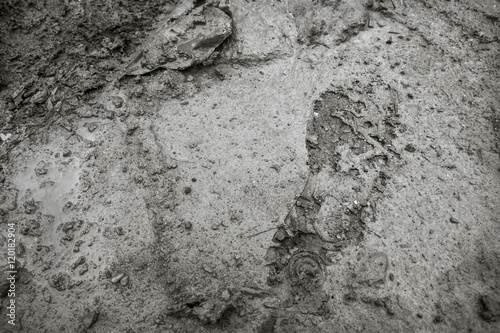 Imprint of the shoe on mud with copy space (black and white)