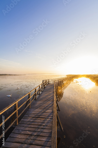 Germany, Bad Buchau, Lake Feder, wooden boardwalk in the morning photo