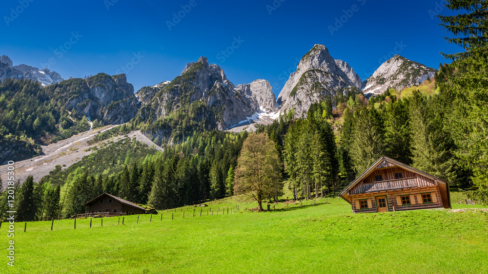 Small cottages at the bottom of peak in the Alps, Austria