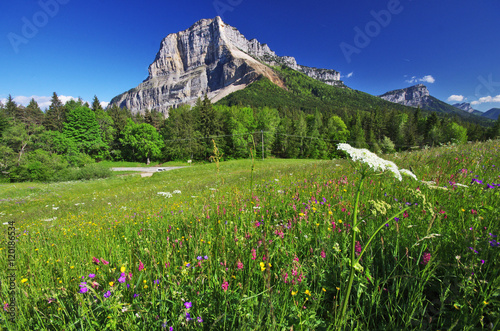 montagne du granier - vallée des entremonts en chartreuse photo