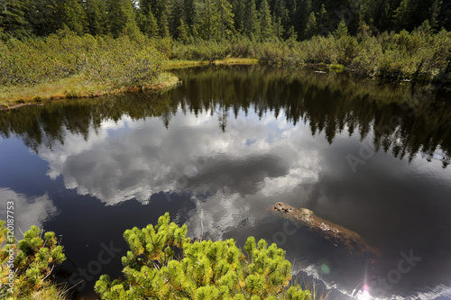 Three lake moor (Trijezerni slat), National Park Sumava, Bohemian forest, Czech Republic photo