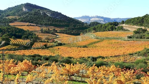 Vignobles des coteaux du mont Ventoux