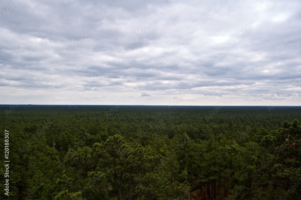 View from above the Pine Barrens Forest 