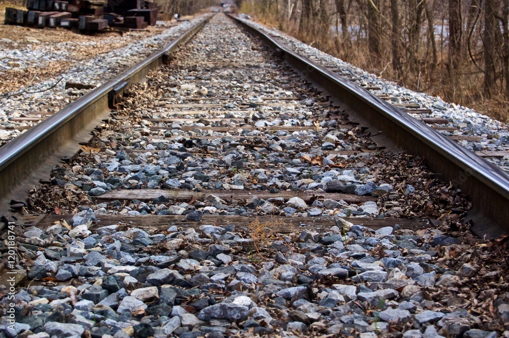Naklejka premium Train Tracks