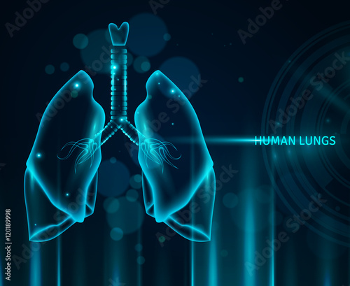 Human Lungs Background