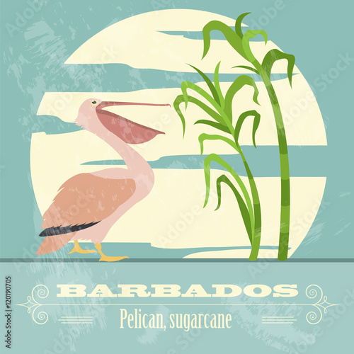 Barbados national symbols. Pelican, sugarcane. Retro styled imag