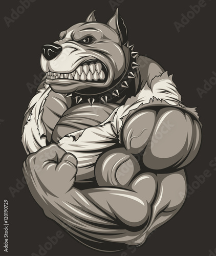 Angry dog bodybuilder