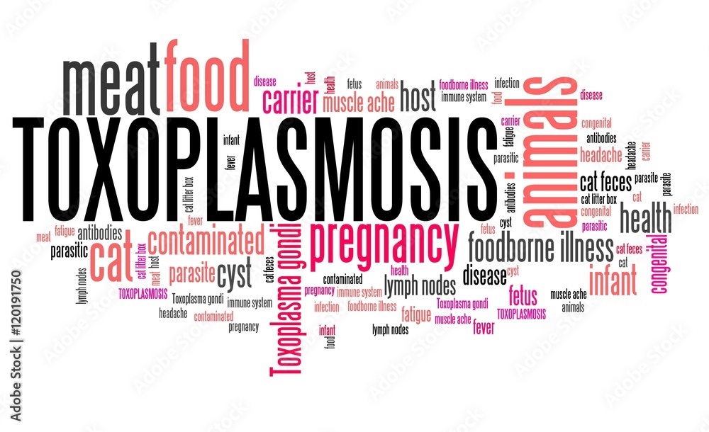 Toxoplasmosis